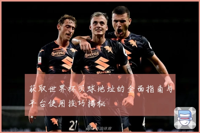 获取世界杯买球地址的全面指南与平台使用技巧揭秘