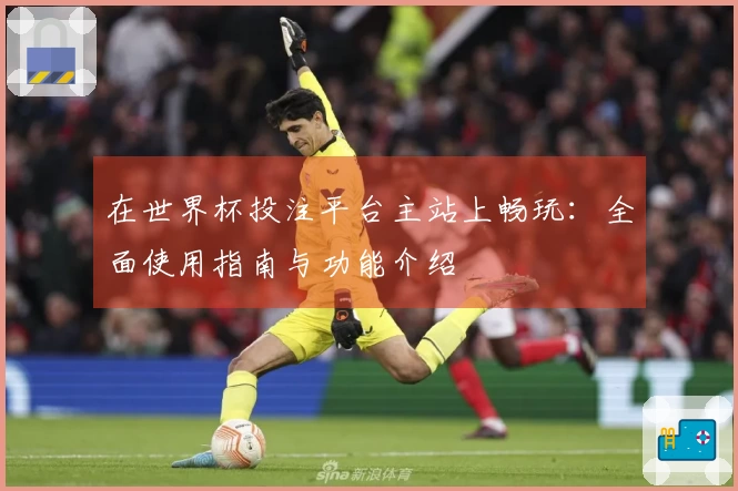 在世界杯投注平台主站上畅玩：全面使用指南与功能介绍
