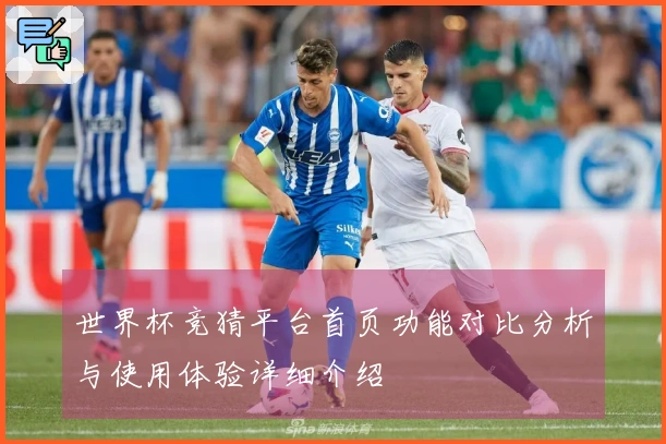世界杯竞猜平台首页功能对比分析与使用体验详细介绍