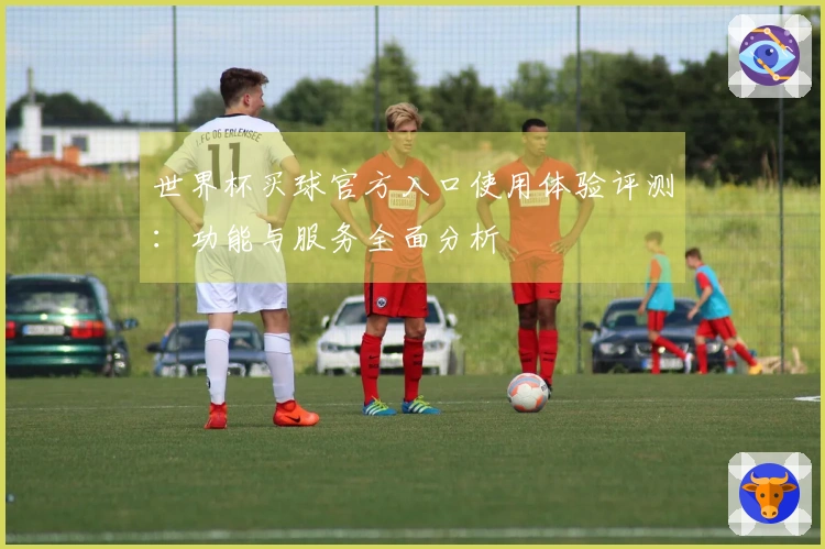 世界杯买球官方入口使用体验评测：功能与服务全面分析