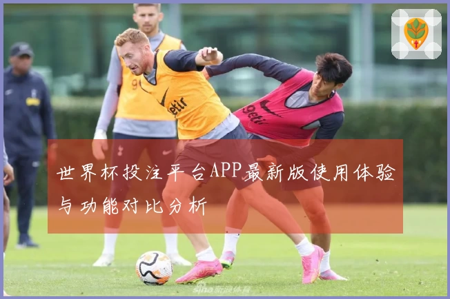 世界杯投注平台APP最新版使用体验与功能对比分析