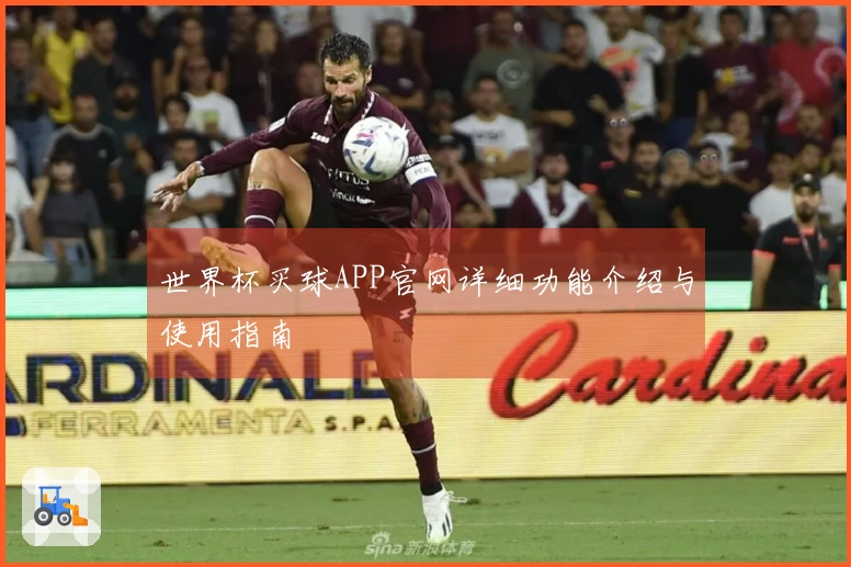 世界杯买球APP官网详细功能介绍与使用指南