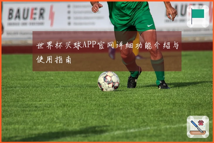 世界杯买球APP官网详细功能介绍与使用指南