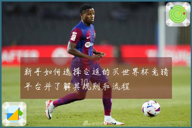 新手如何选择合适的买世界杯竞猜平台并了解其规则和流程