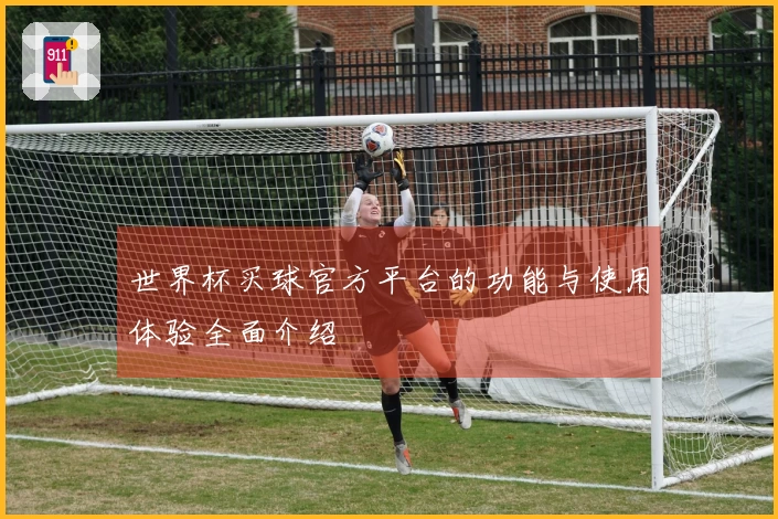 世界杯买球官方平台的功能与使用体验全面介绍