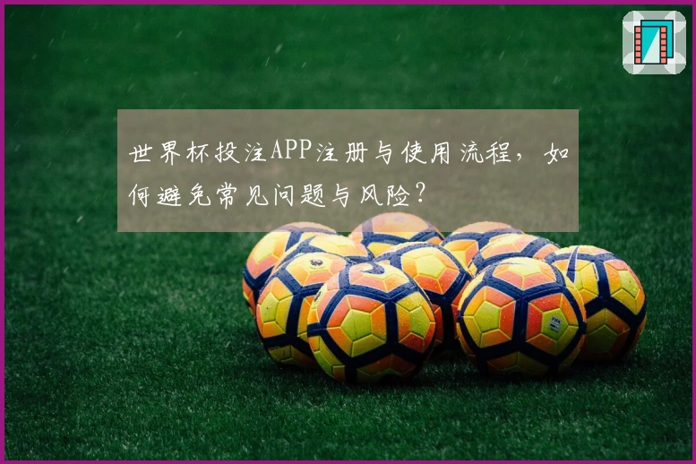 世界杯投注APP注册与使用流程，如何避免常见问题与风险？