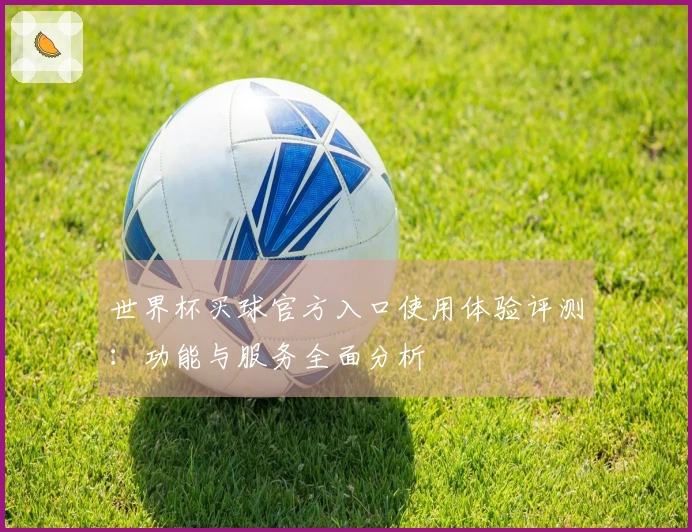 世界杯买球官方入口使用体验评测：功能与服务全面分析