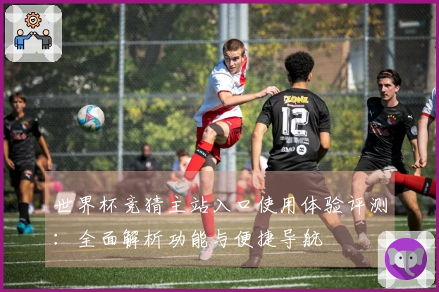 世界杯竞猜主站入口使用体验评测：全面解析功能与便捷导航