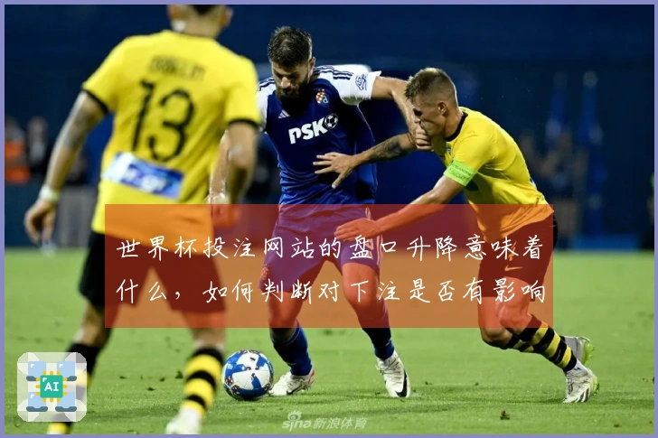 世界杯投注网站的盘口升降意味着什么，如何判断对下注是否有影响？