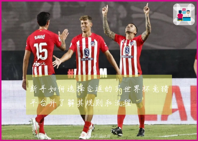 新手如何选择合适的买世界杯竞猜平台并了解其规则和流程